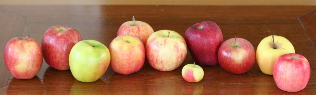 Selection of Apples