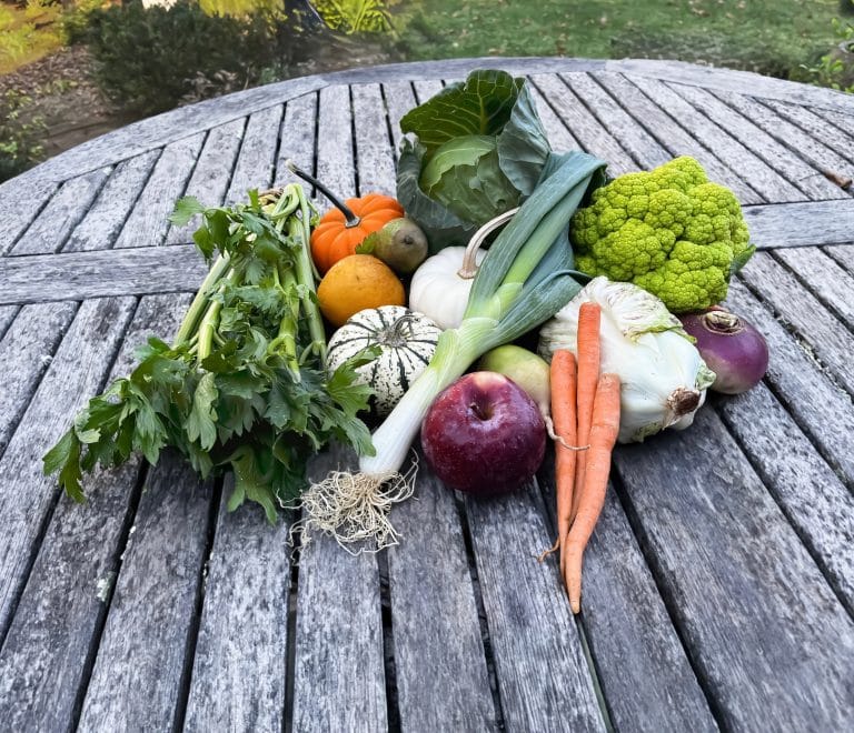 Celebrating Seasonality- Fall Edition